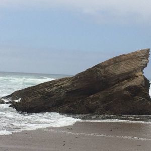 Meet your Posher, Ammon